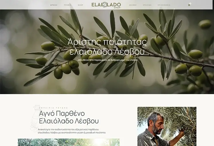 Κατακευή eshop από την Webex Studio
