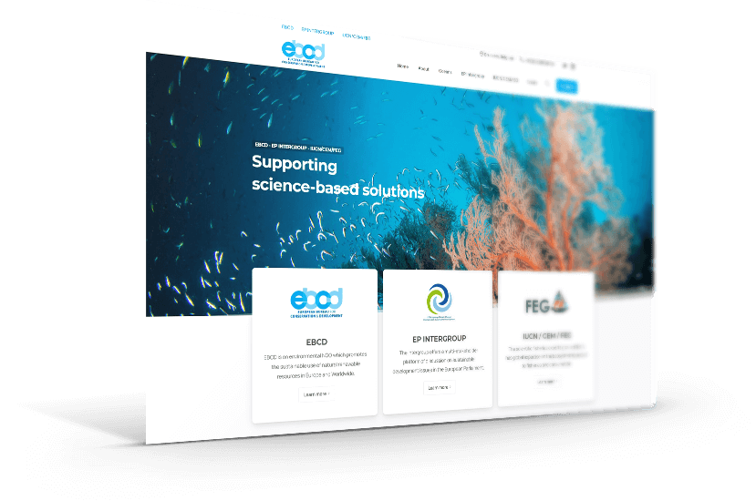 ebcd.org-website-design-by-webex-studio-athens Κατασκευή ιστοσελίδας για διεθνή οργανισμό στο Βέλγιο